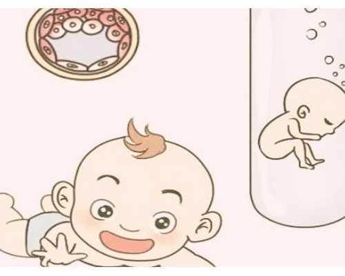囊胚移植是放在子宫哪个位置最佳？