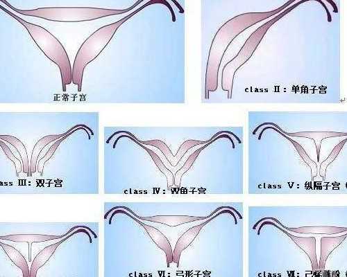 桐城怀孕建档除了查血常规外还要检查什么?_62328