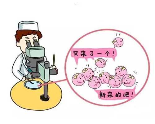 生化了当月接着移植冻胚成功率高吗?