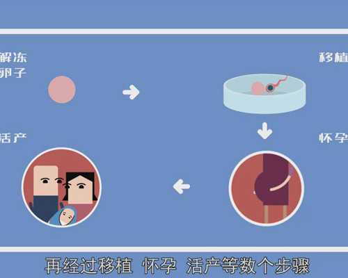 深圳有供卵的医疗机构吗_试管婴儿成功率低且有害，有什么方法改善吗？