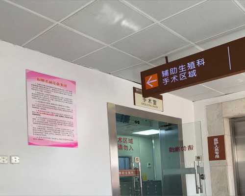 北京供卵试管|供卵试管供卵公司打降调可以同房吗