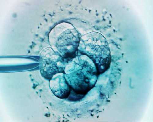 2026年在武汉私立生殖医院做一代试管婴儿移植费用多少?