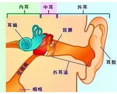武汉做借卵试管的费用 武汉第三代试管婴儿优势是什么? ‘早唐和中唐哪个看男