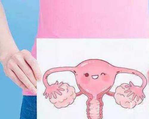 如何安排 试管婴儿降调期间的衣食住行