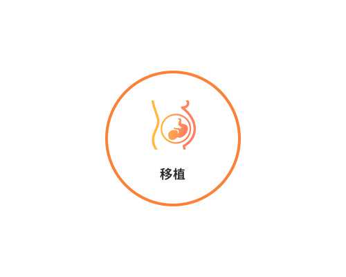 已生了女宝的四维彩超单子图片有什么特点?