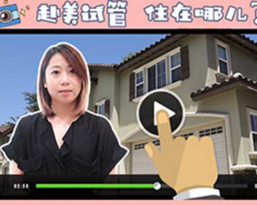供卵产子_供卵成功率有多高_重庆探索AI辅助筛选胚胎 试管婴儿技术有望取得重