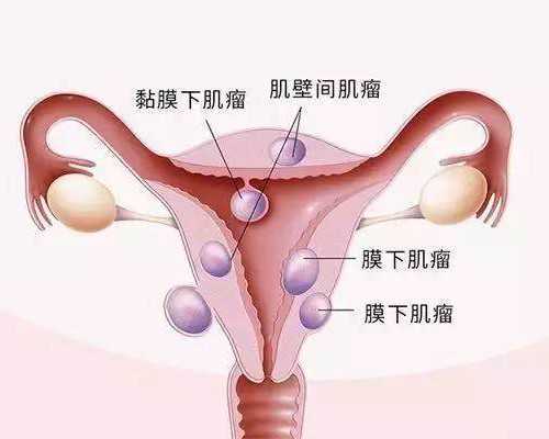 定西供卵试管(淮安供卵试管)