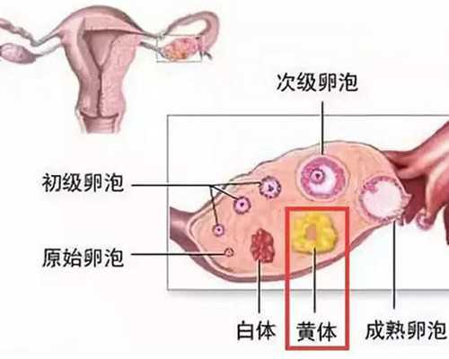 青岛助孕群 青岛妇女儿童医院还是山大试管好？如何来选择医院？ ‘三个半月