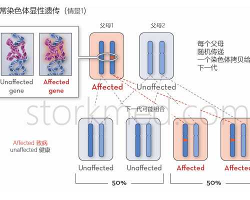 合肥5旬老太冒死生龙凤胎，丈夫瘫痪在床，打7份工捡破烂养孩子
