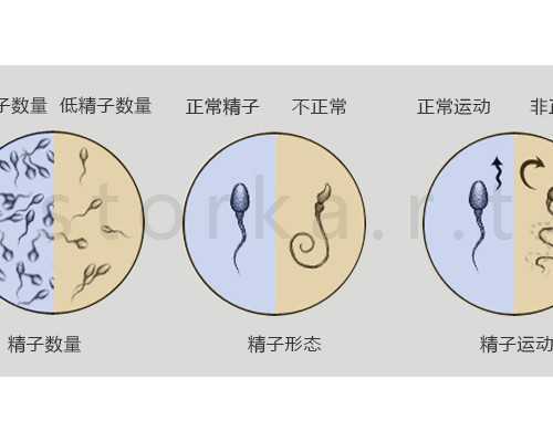 合肥代怀男孩,合肥供卵试管儿子多少费用