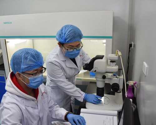 意外丧偶女子诉请医院依约继续实施试管婴儿手术获支持